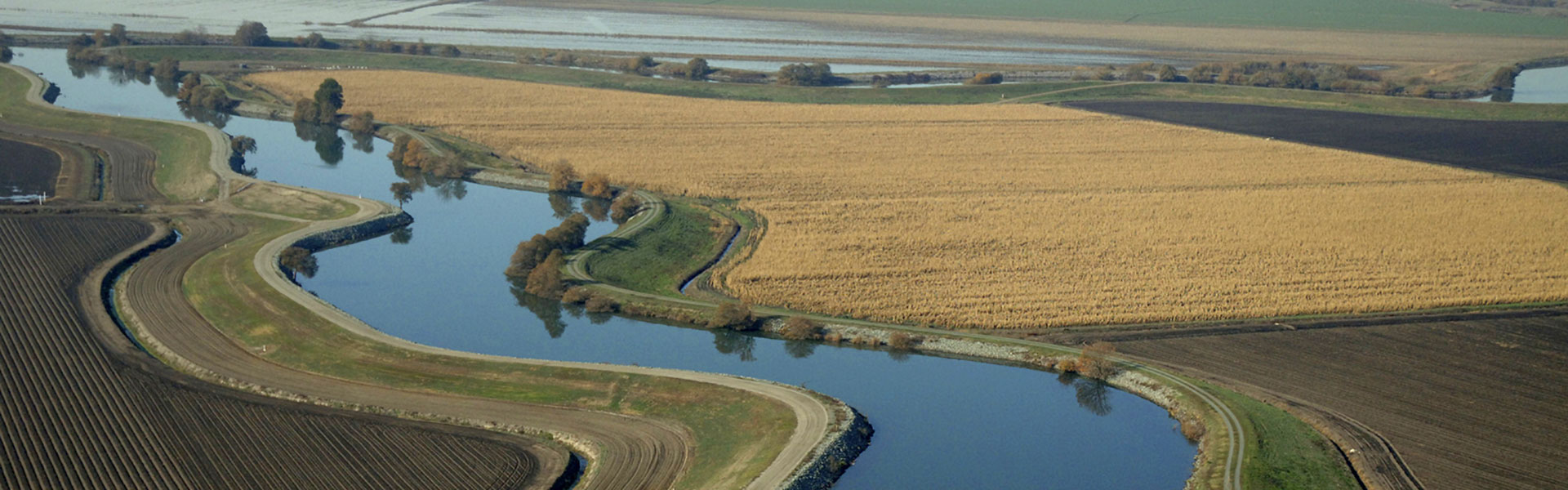 The Delta - Water Association of Kern County